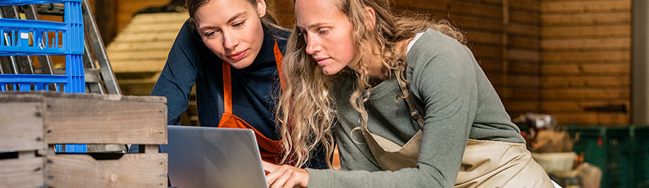 Online Banking Firmenkunden Raiffeisenbank Turkheim Eg